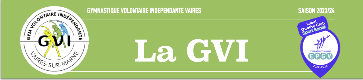 Gvi vaires new logo