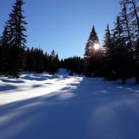 pendant ce temps Michel & Catherine